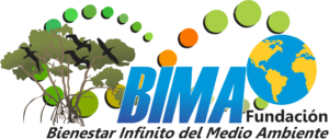 Fundación Bima
